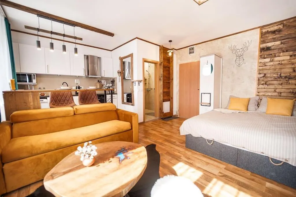 Mountain Studio - Ski In And Out - Free Spa Bansko